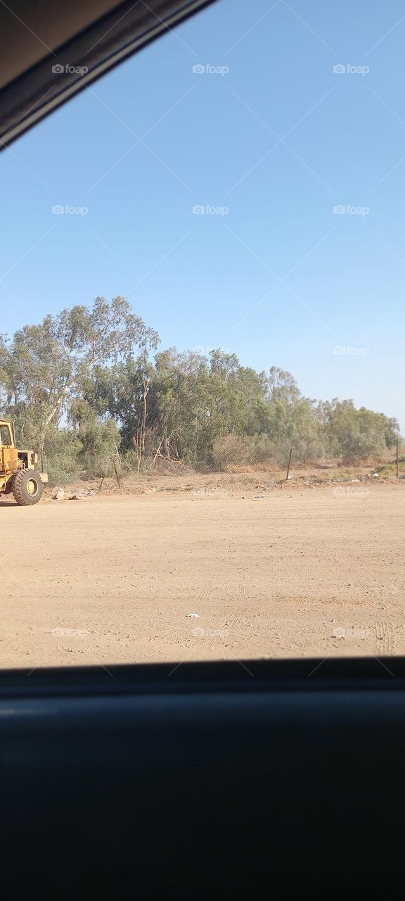 A view of the desert, trees and rainforests
