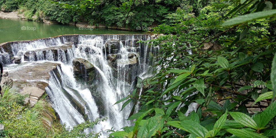 Water, Nature, Waterfall, Stream, Leaf