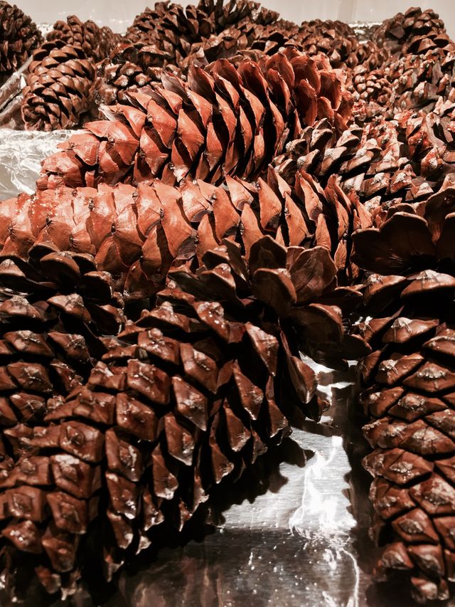 Preserving Pine Cones