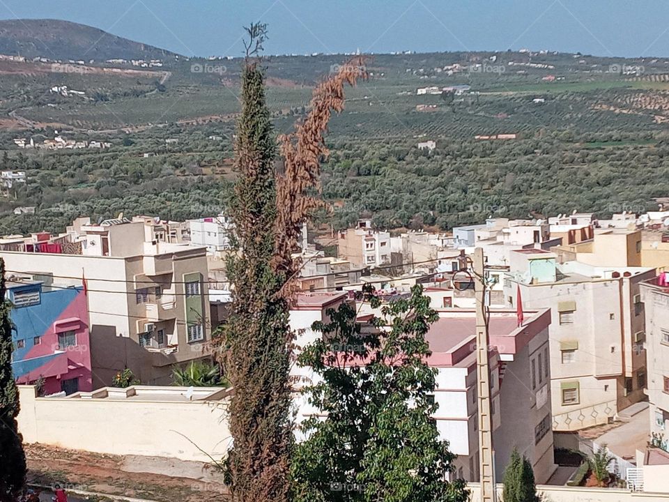 Population between the nature