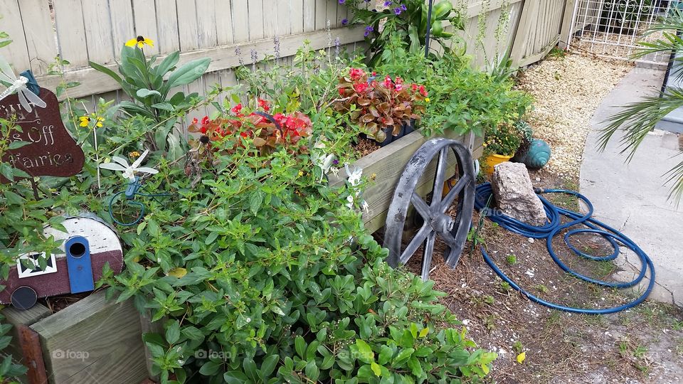 Red Green Wagon