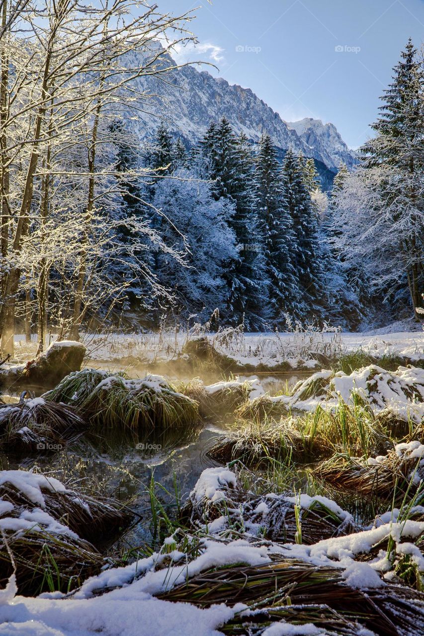 Winter Solstice morning with fresh snow. 