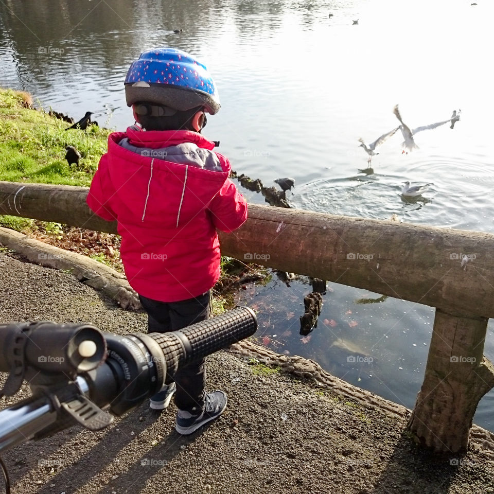 Feeding the ducks