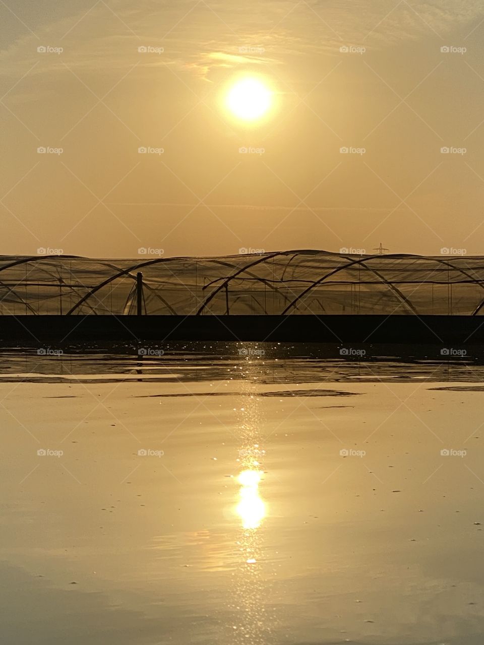 Amaneciendo verano Monegros 