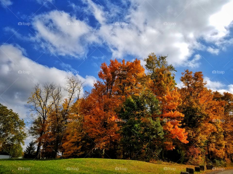 fall walk