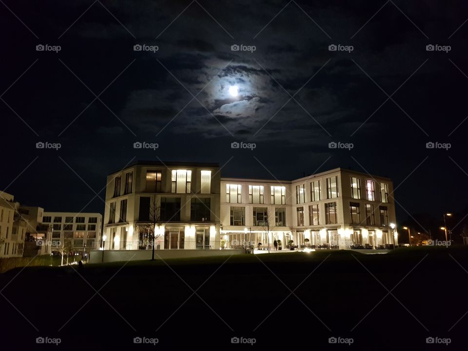 Stuttgart Killesberg Moonlight