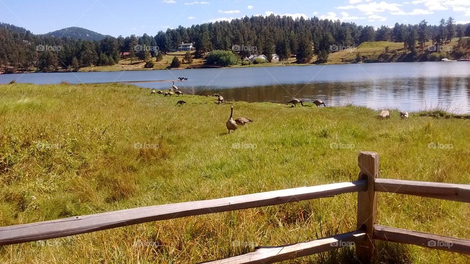 Evergreen Lake, Colorado