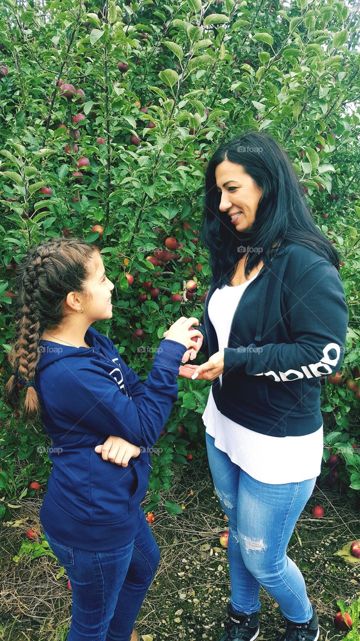yearly traditional apple picking mother & young daughter