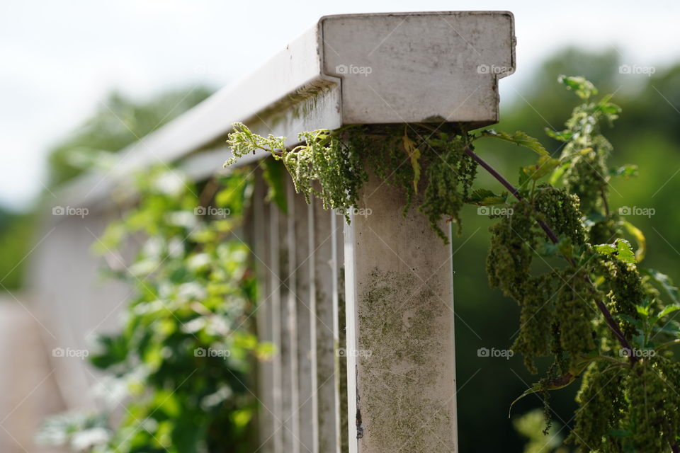 Bridge railing