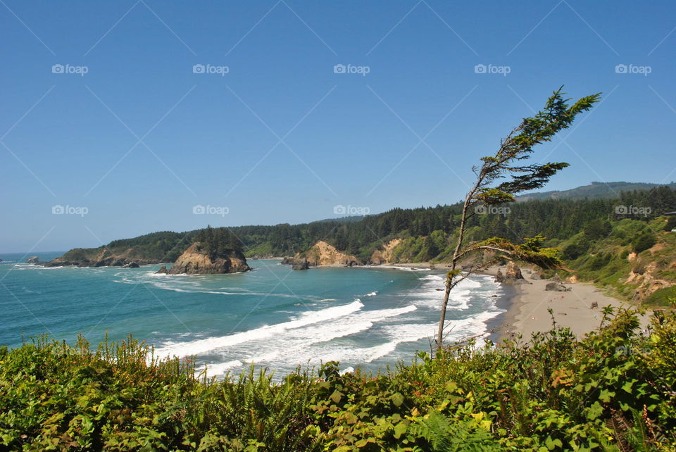 Trinidad beach in California