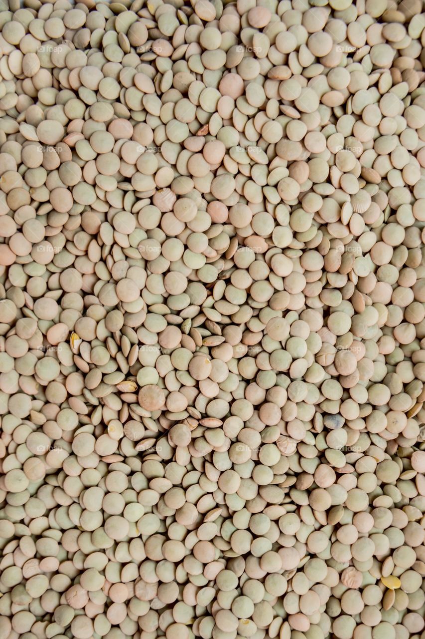 High angle view of lentils