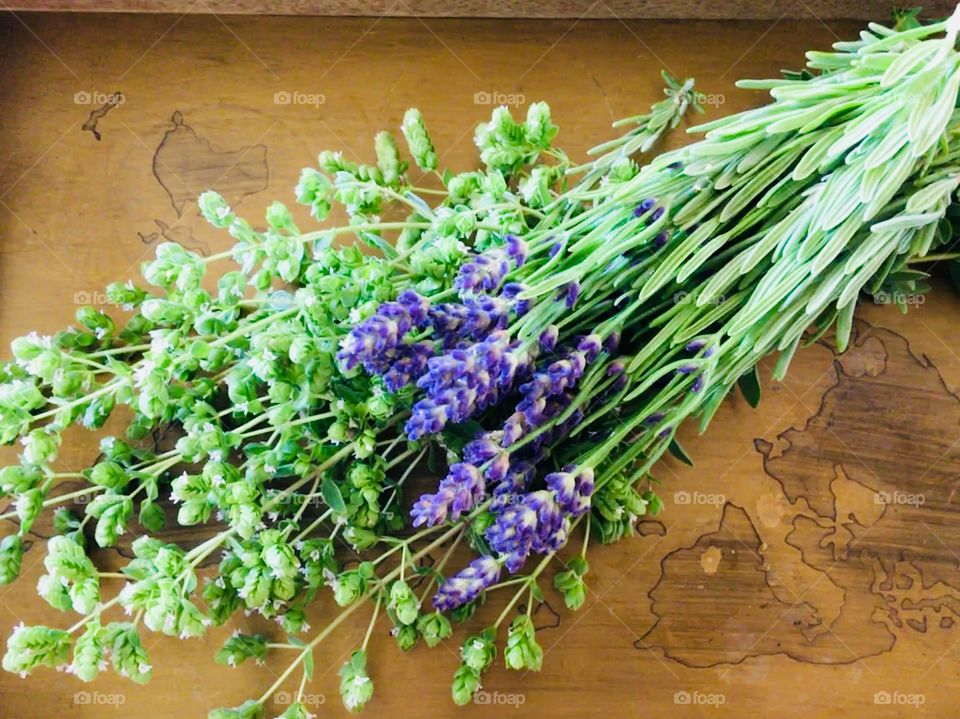 Fresh lavender and oregano 