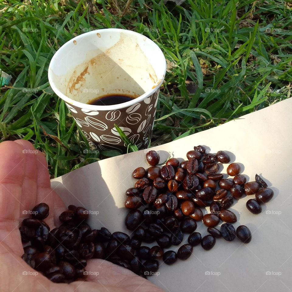 ground beans coffee, coffee beans, Authentic, nice grass