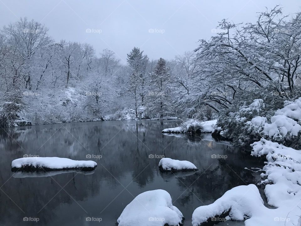 Snowy pond 