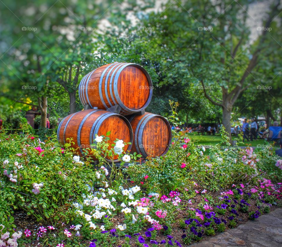 Wine Barrels and Spring.

Napa, CA.