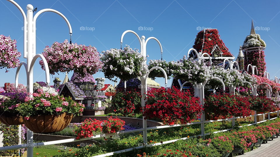 Botanical Garden in Dubai UAE is very creative. Different flowers and colors can be seen there and the weather is just fine.