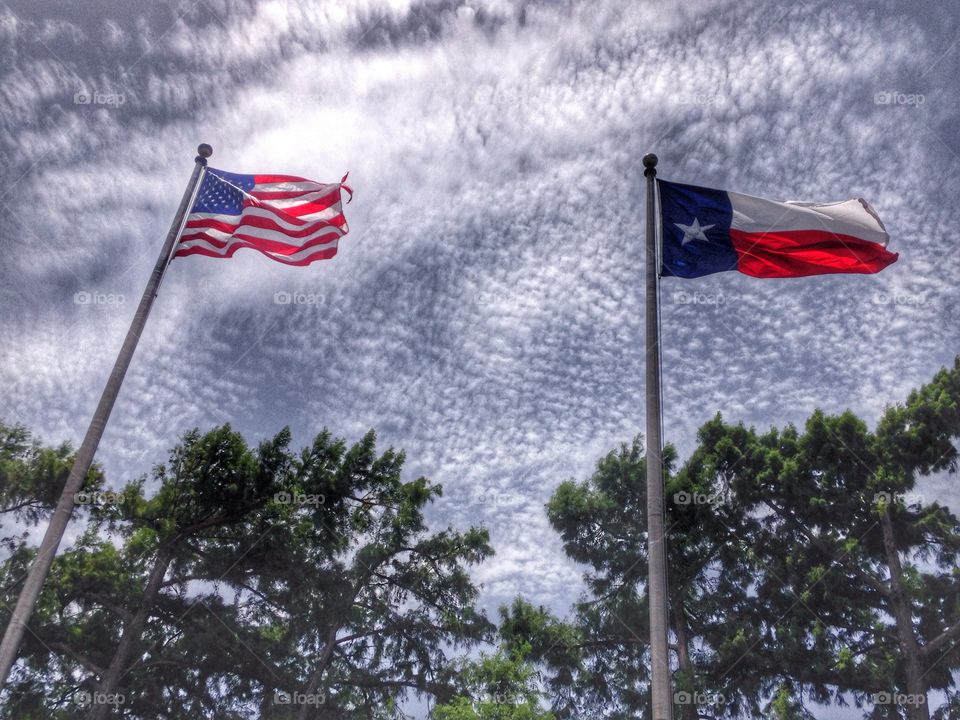 Flags of freedom. USA and Texas flags