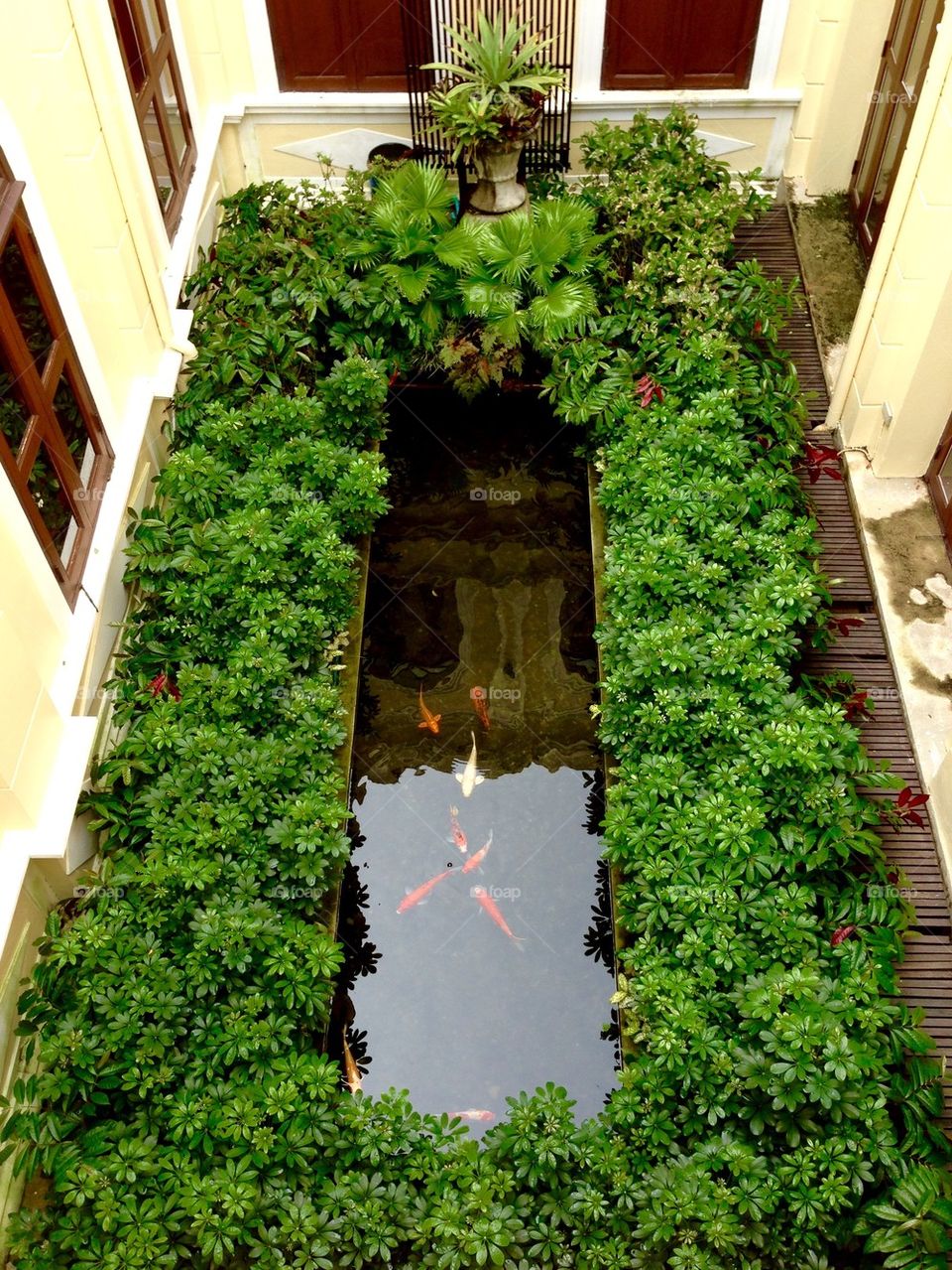 fish pond and garden in courtyard