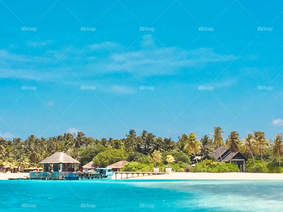 Maldives, a private island resort shot from boat. 