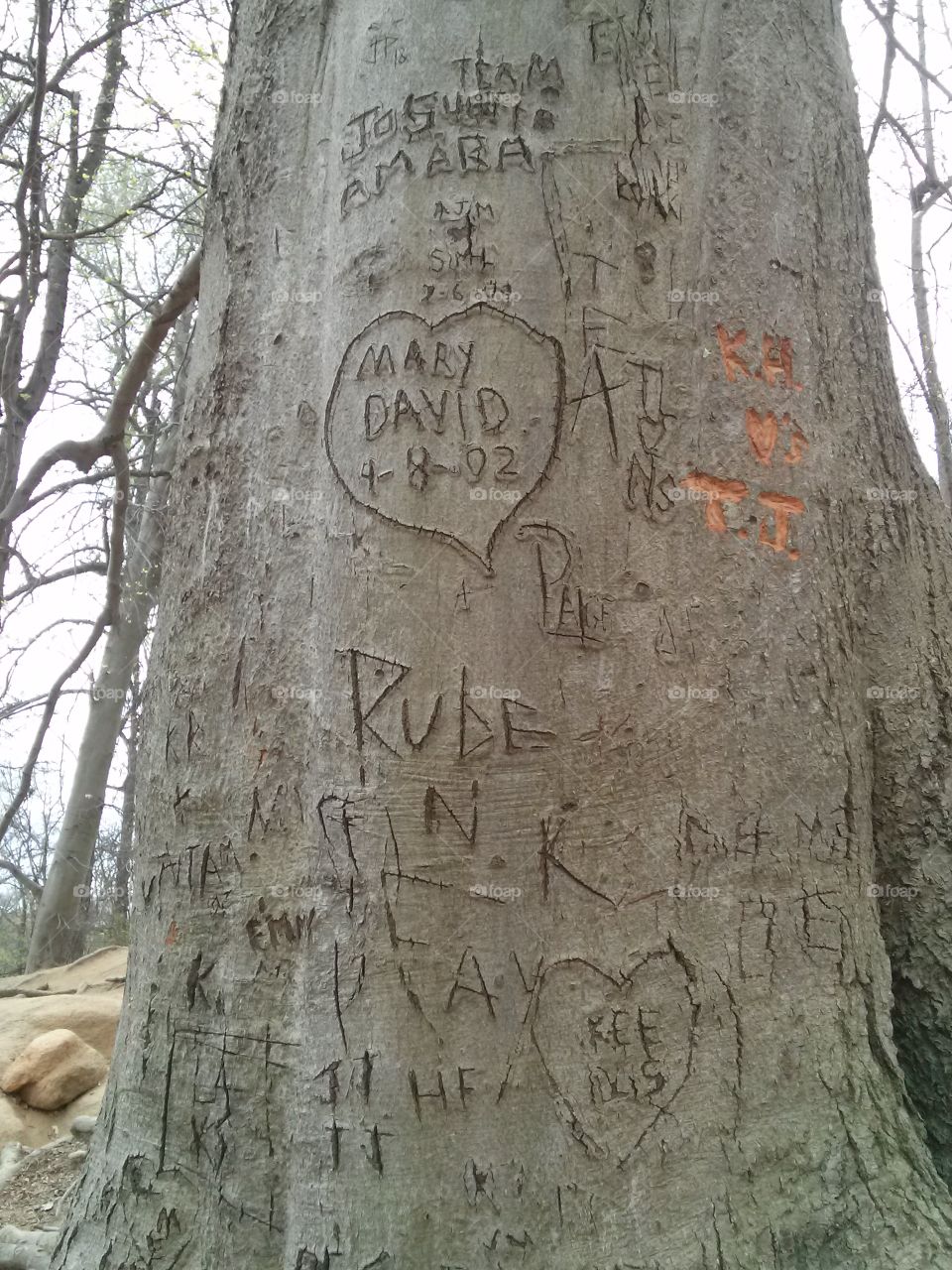 Tree of Love