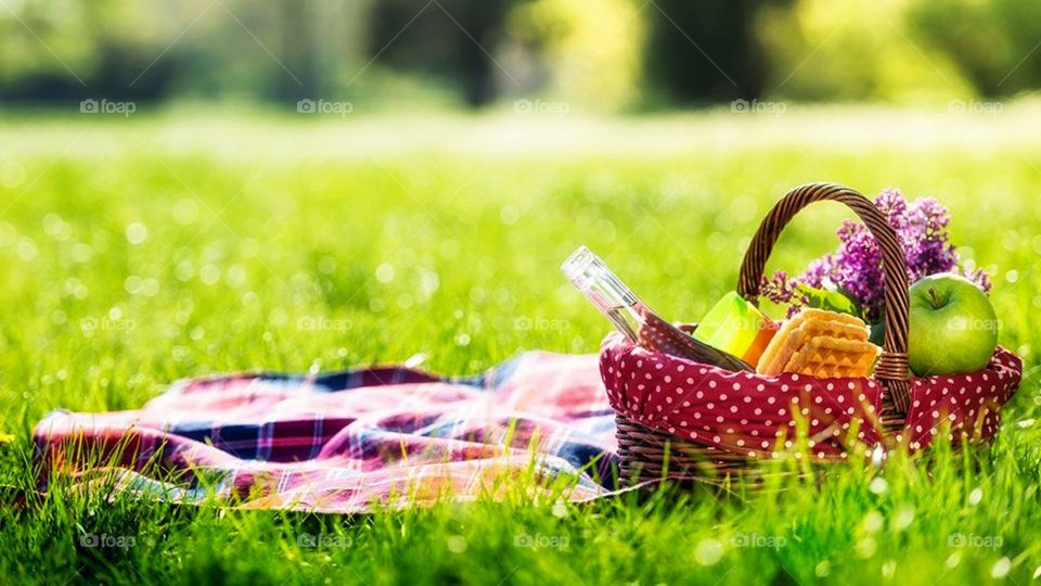 picnic en el parque