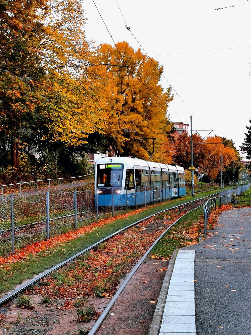 Tram in autumn evening