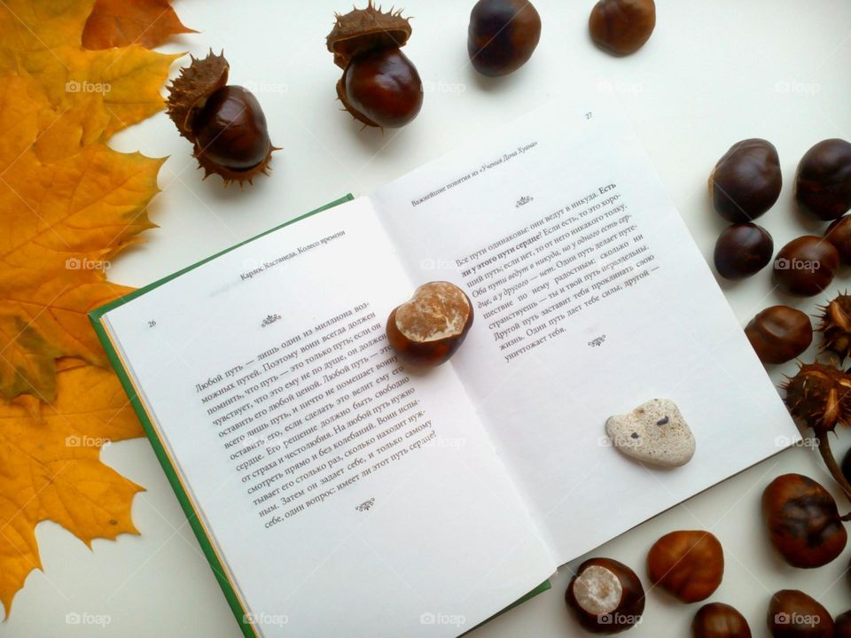 book autumn