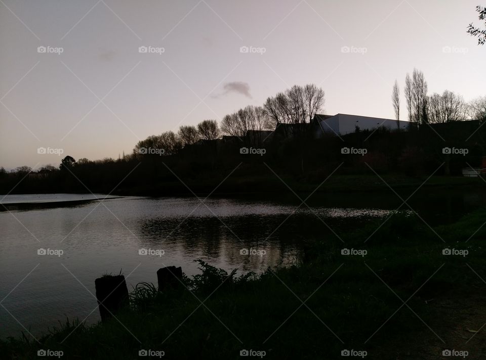 Landscape, Lake, Dawn, Water, Tree