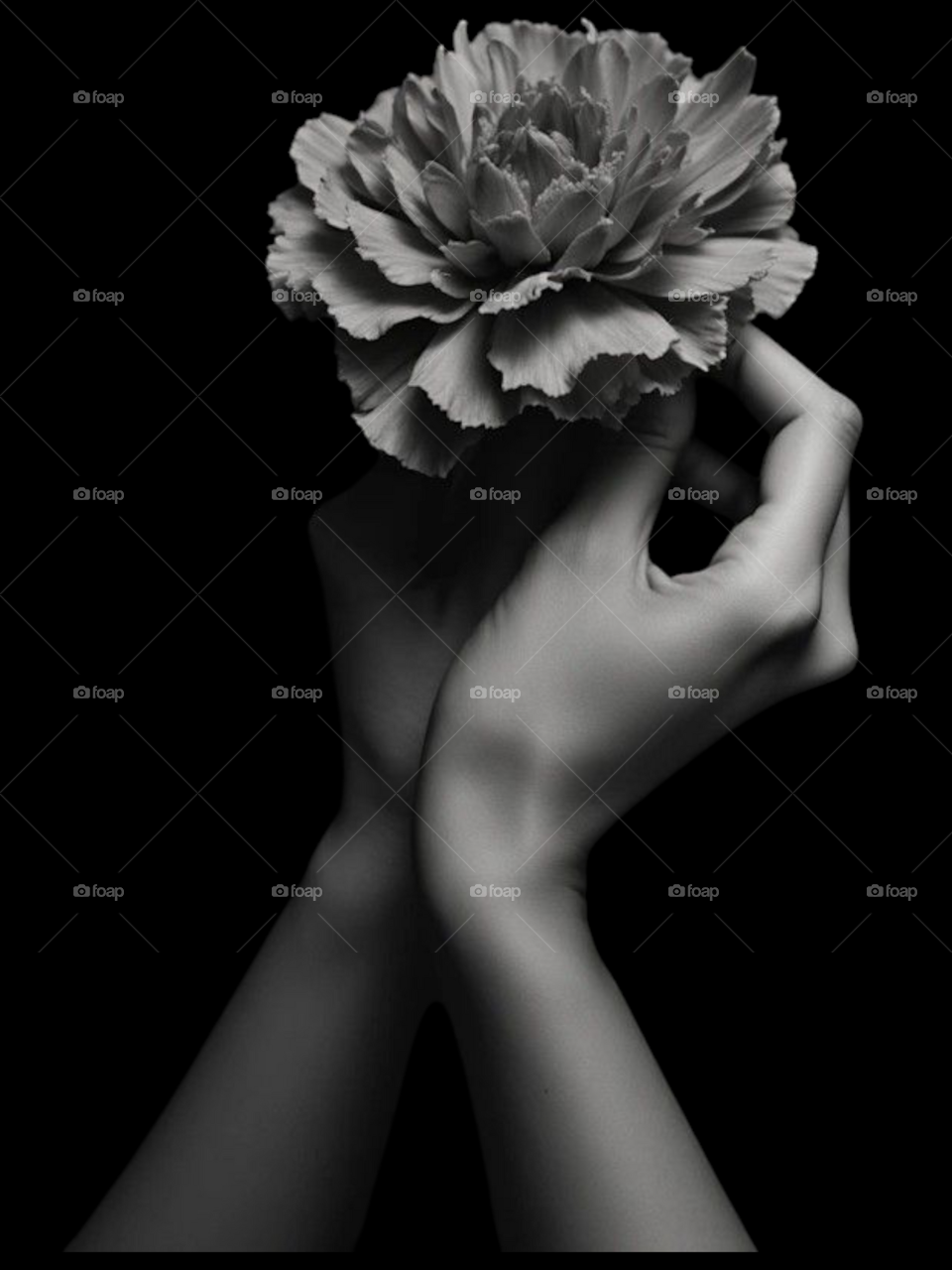 Female hands with a rose