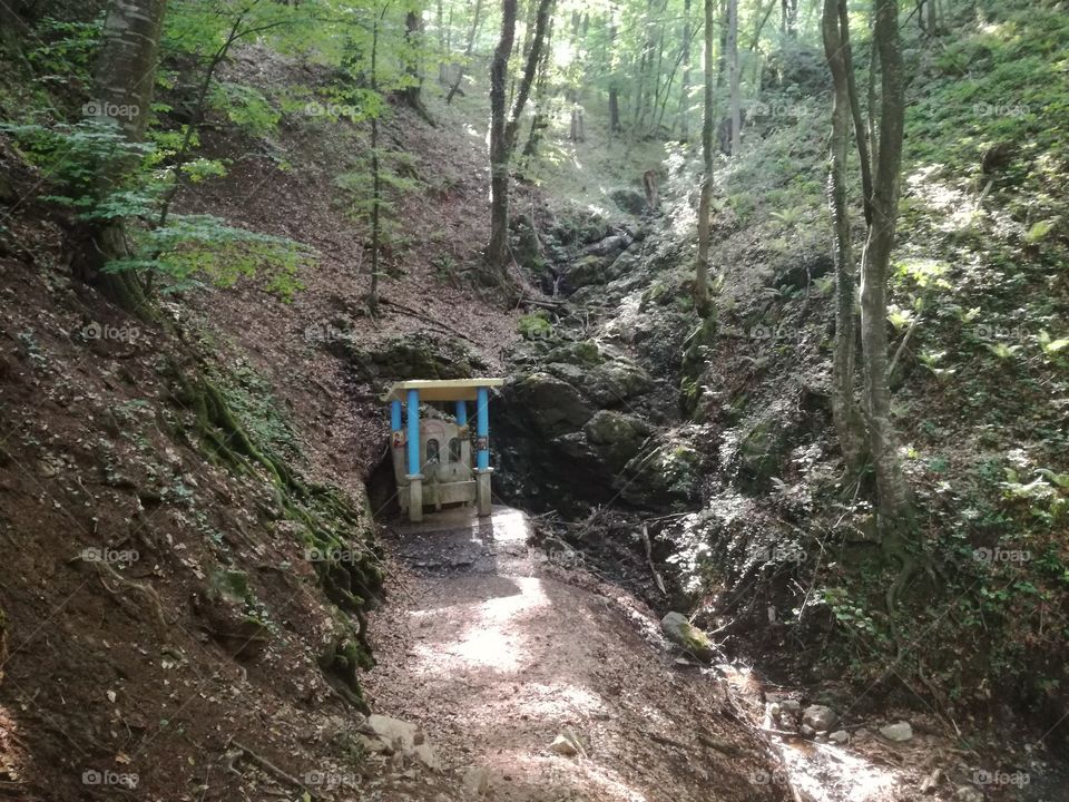 Mountain Jelica Cacak Serbia spring in the forest