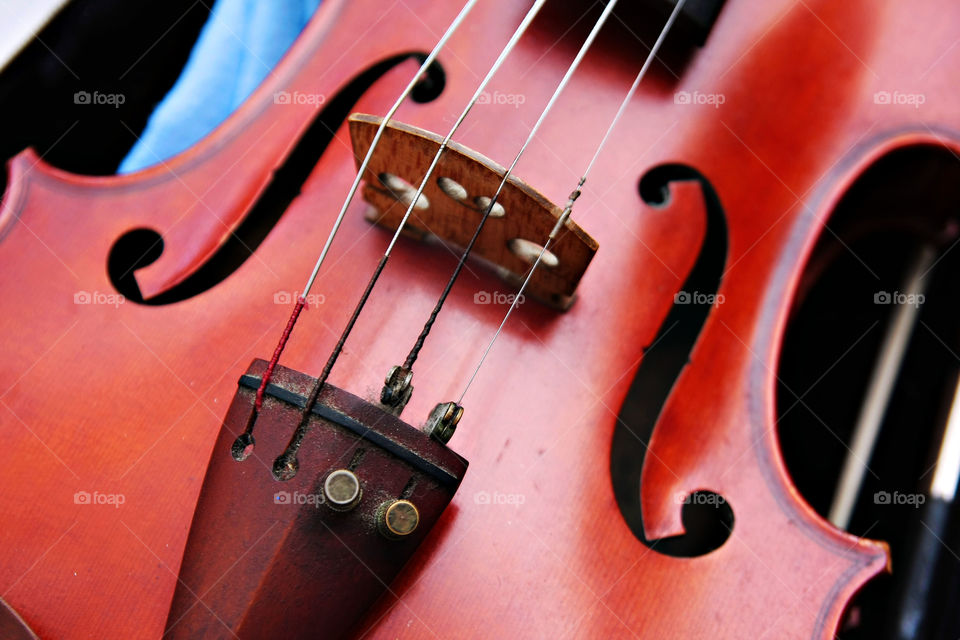 violin