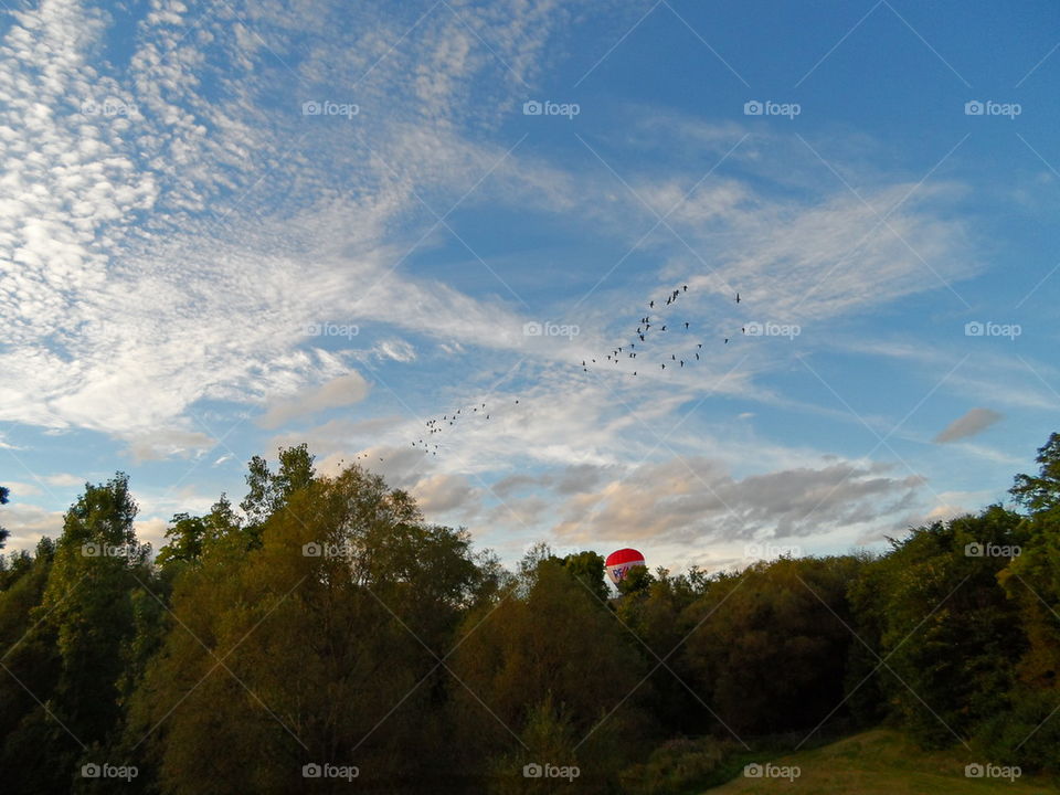Hot air balloon in field