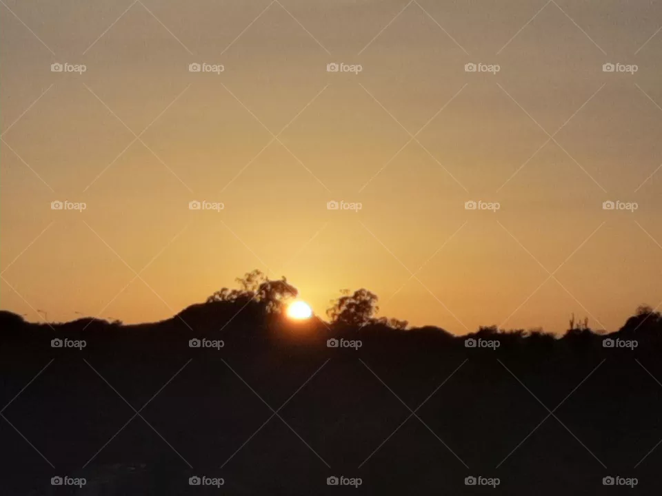 Nature's magic touch