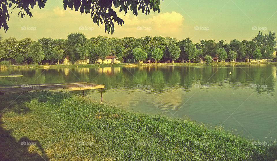 amazing place. lake, trees and grass