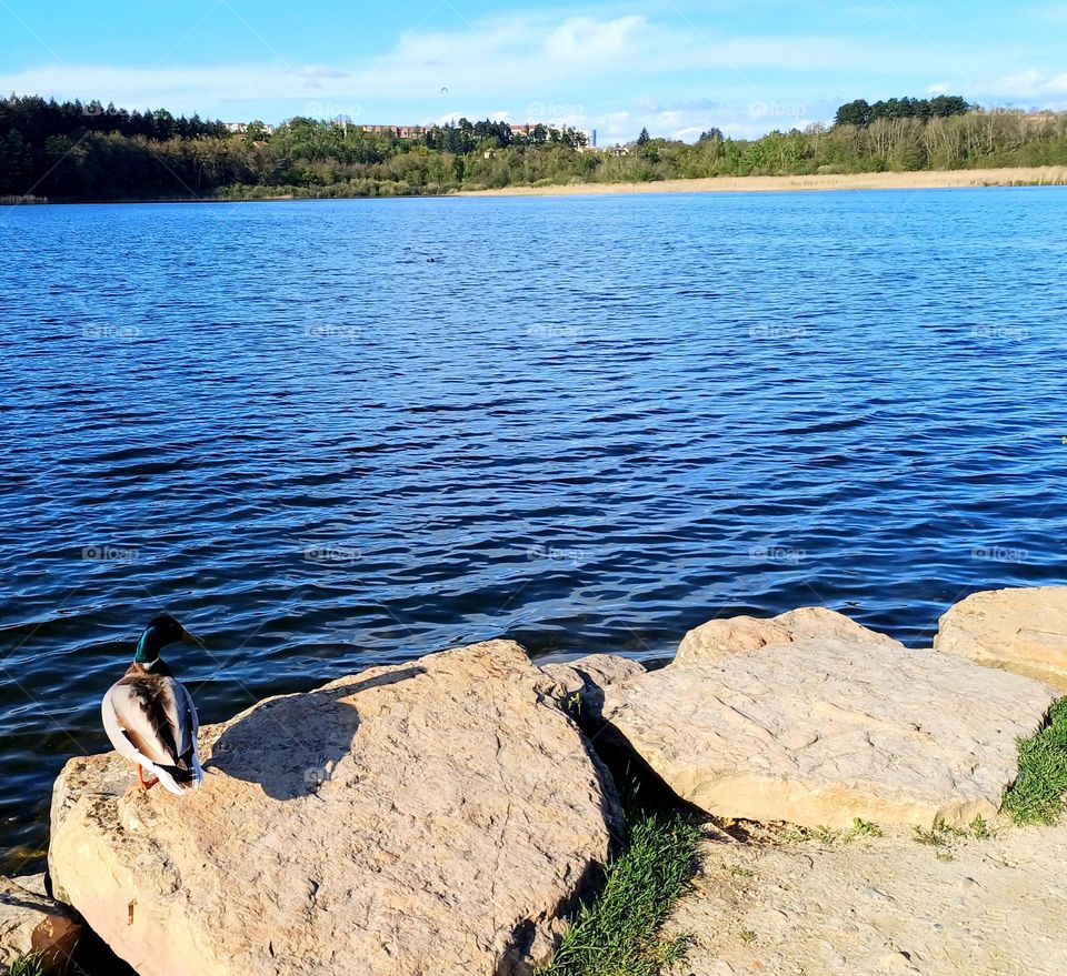 Scenic view of a lake with calm blue water