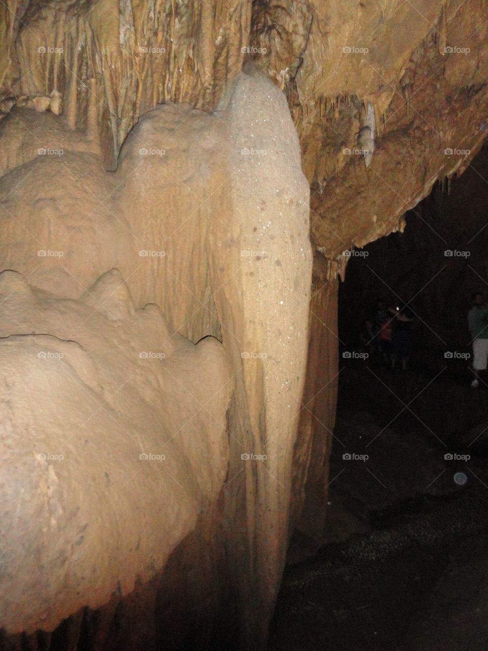 guácharo cave