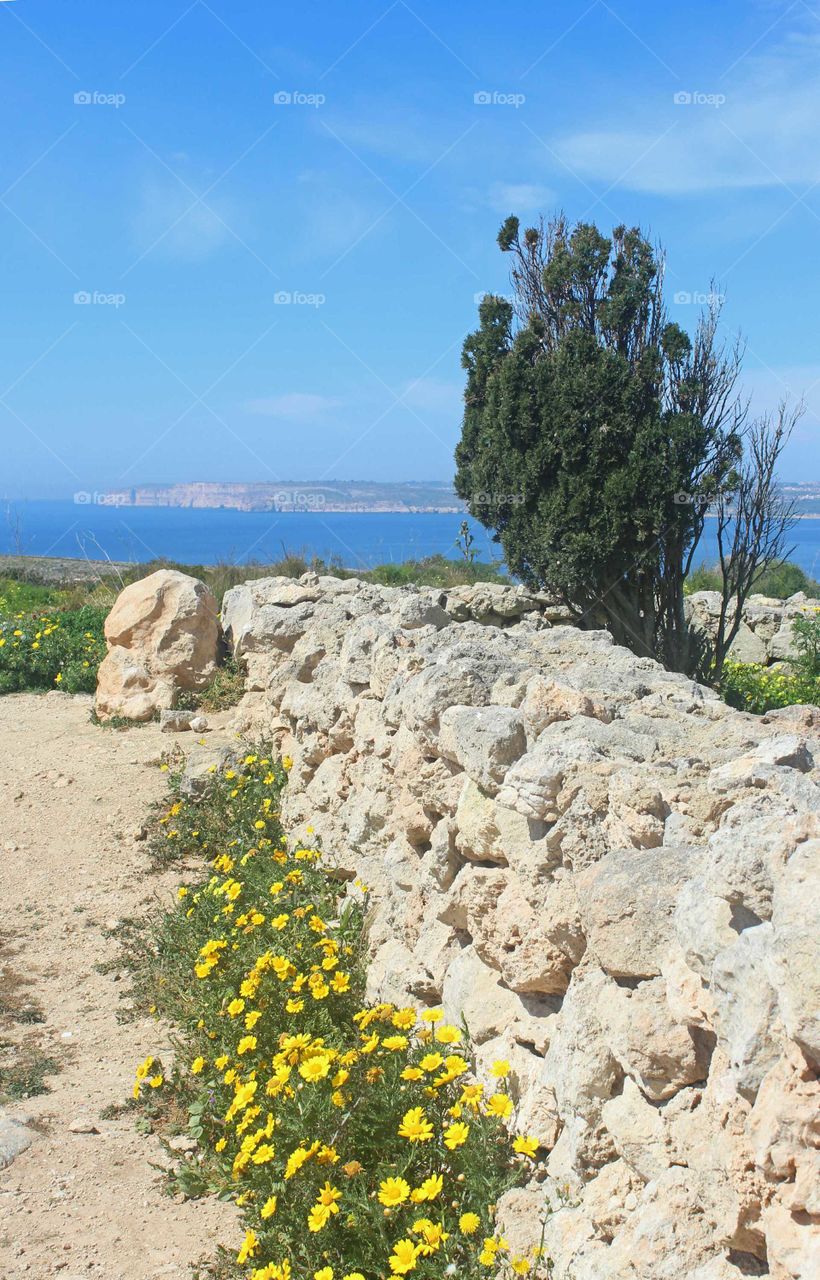 mediterranean scene. view from Malta to Gozo