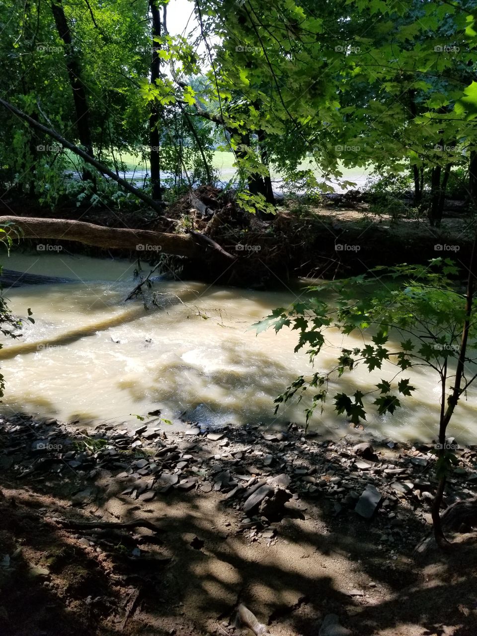 a usually docile creek, raged for 12 hours. taking down trees and flooding homes. August 2018