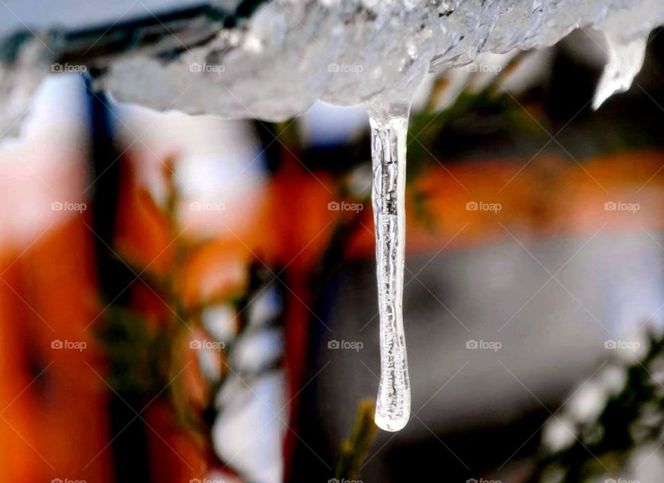 Icicle