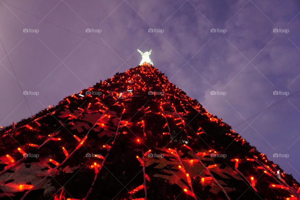 Christmas#tree#sky#lights#clouds