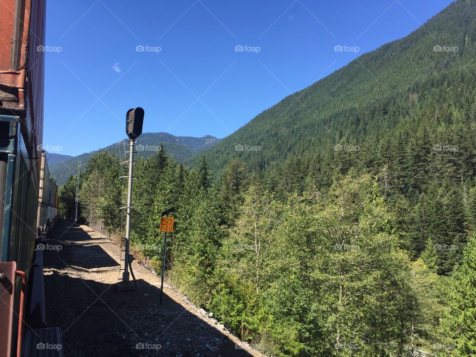 Mountain, No Person, Wood, Travel, Tree