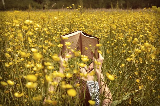 Reading in the sun