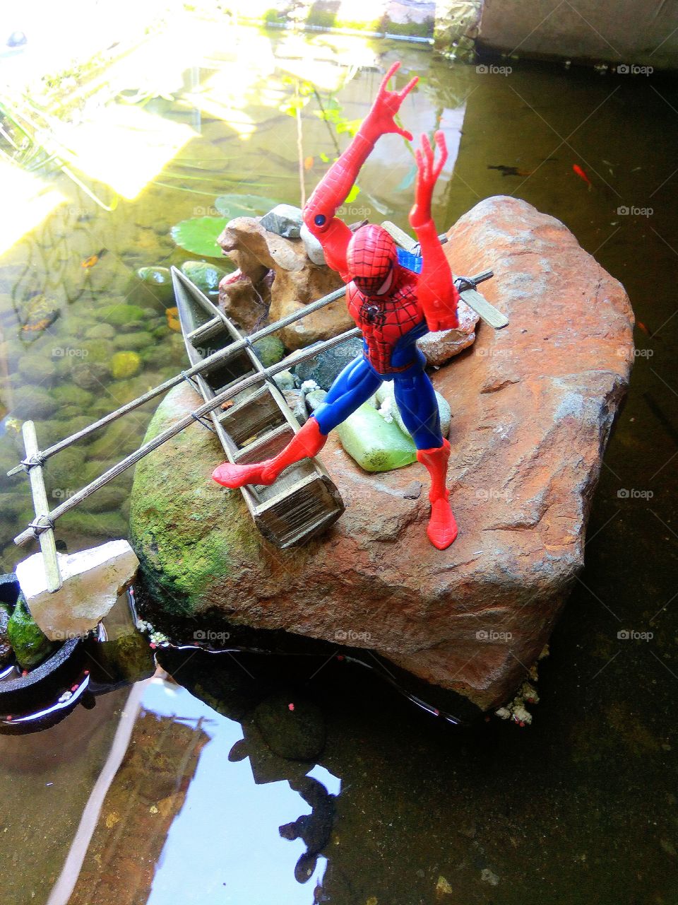 Spider-Man pool