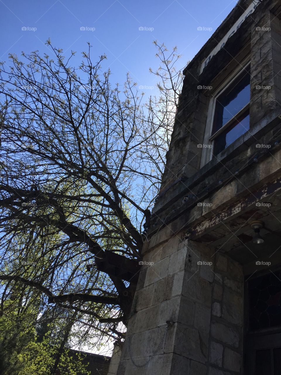 Side building and tree silhouette  