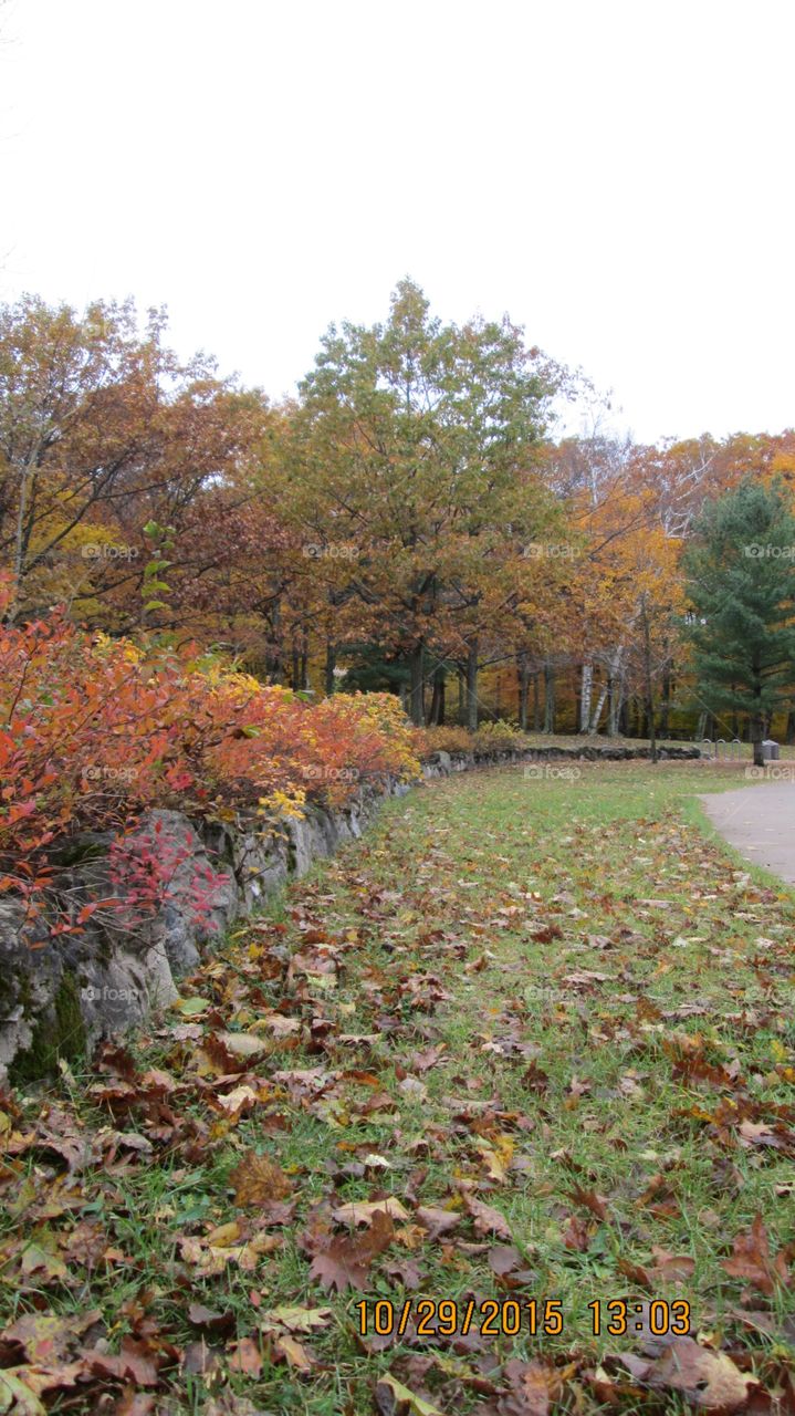 Northern Michigan 