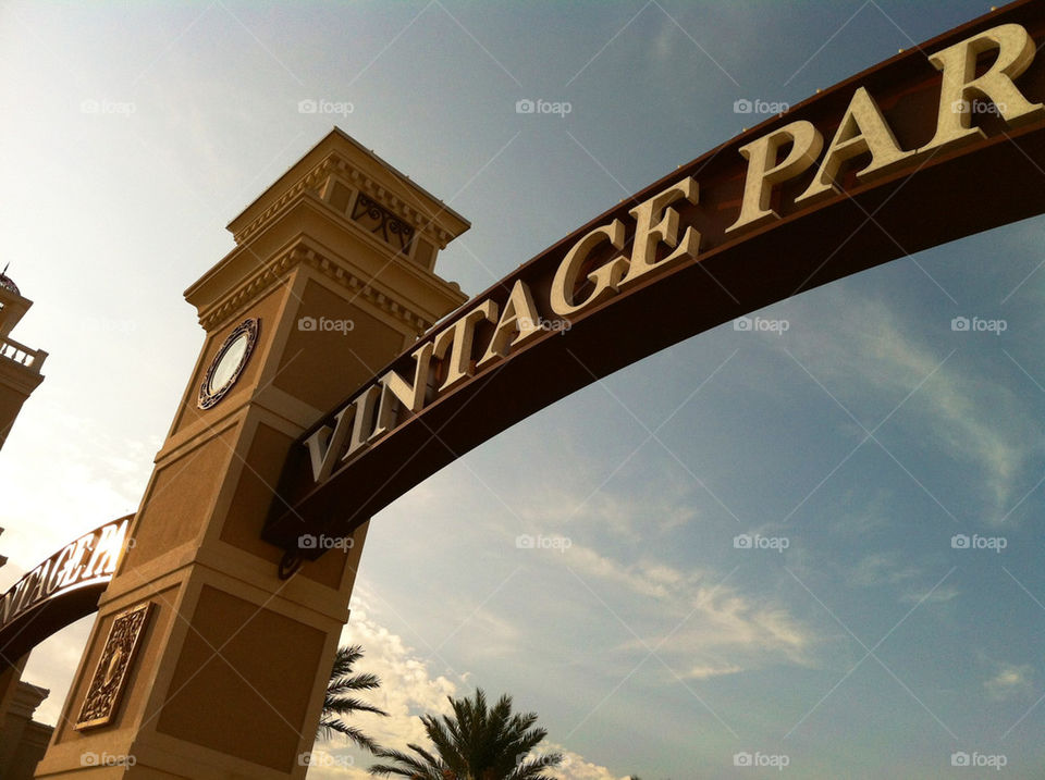 sky blue tree vintage by mobilejay