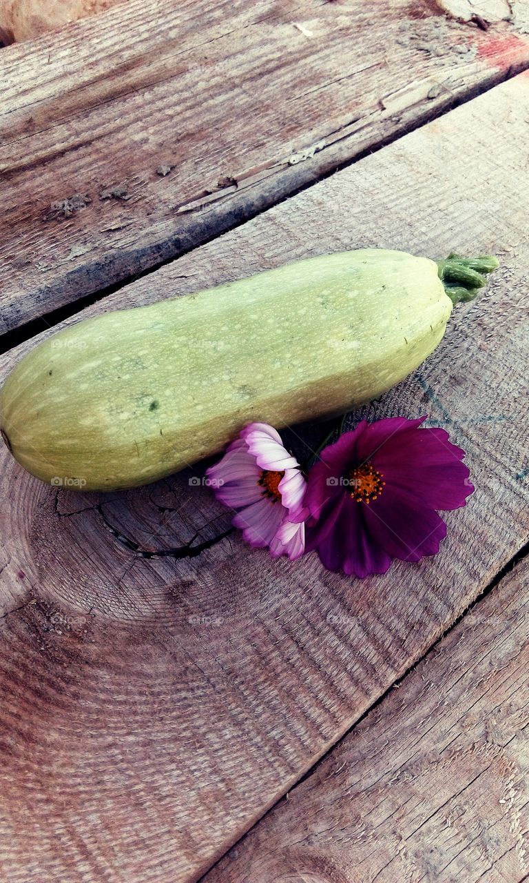 Simple, elegant and squash-y