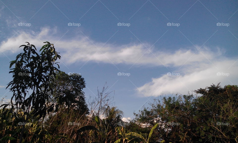 line of clouds