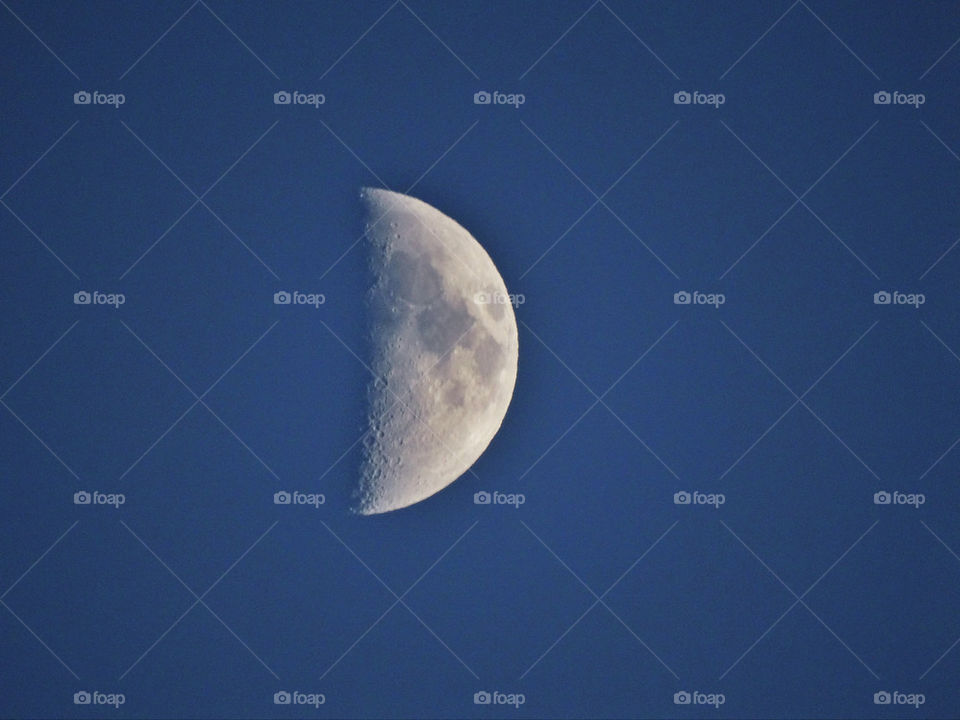 Waxing half moon in evening sky