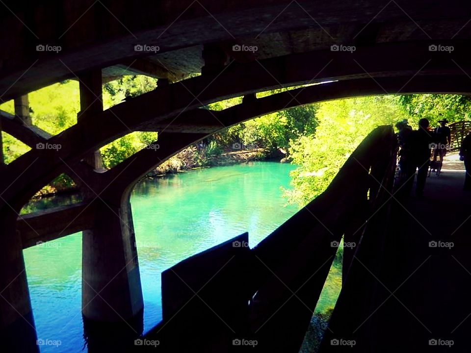 Under the Austin Texas Bridge